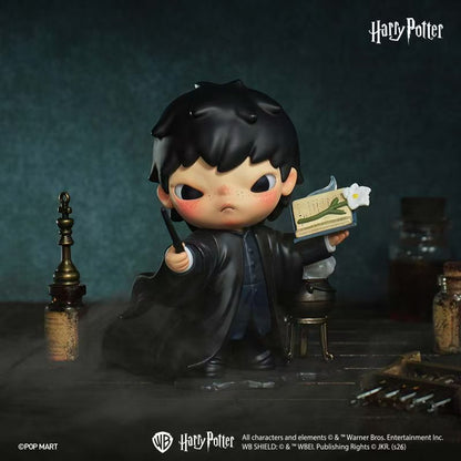 2266. Hirono × Harry Potter Series Figures Blind Box