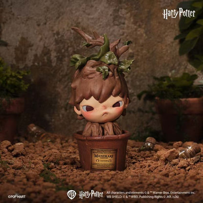 2266. Hirono × Harry Potter Series Figures Blind Box