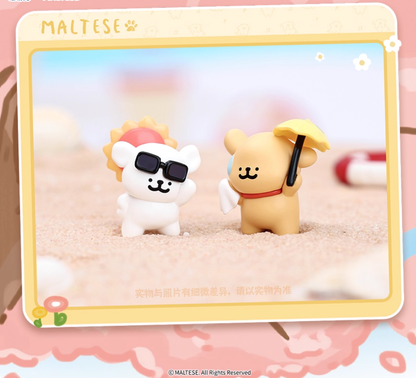 1063. MALTESE Weather Forecast Mini Series Blind Bag