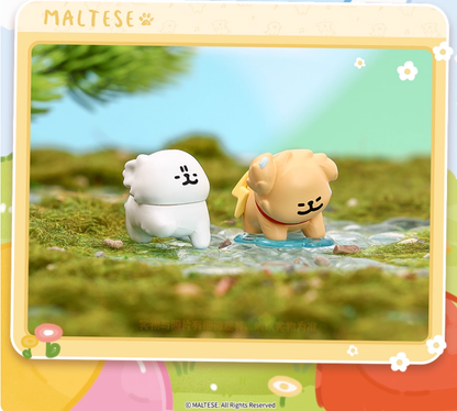 1063. MALTESE Weather Forecast Mini Series Blind Bag