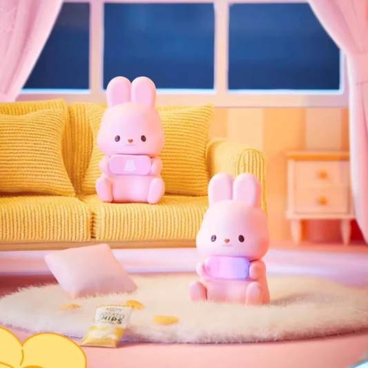 1286. MOMO BUNNY 24H Life Diary Series Blind Box