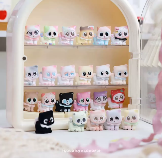 1704. PITTY- Pitty, Here! Series Beans Blind Box