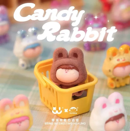 1757. AMLLS Candy Rabbit Series Beans Blind Bag