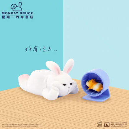 1970. MONDAY BRUCE Too Cozy to Leave Series Blind Box